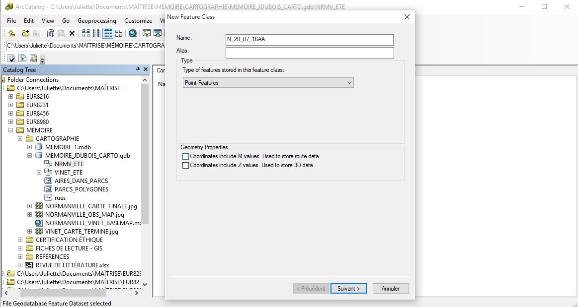 creating feature class.jpg